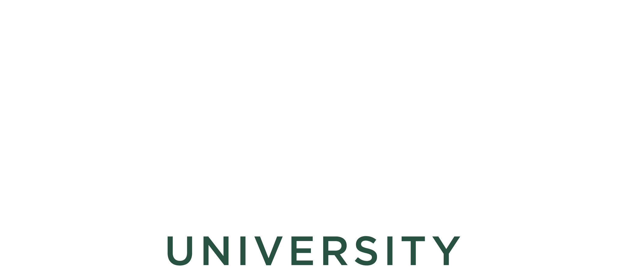 Amplified Solutions University